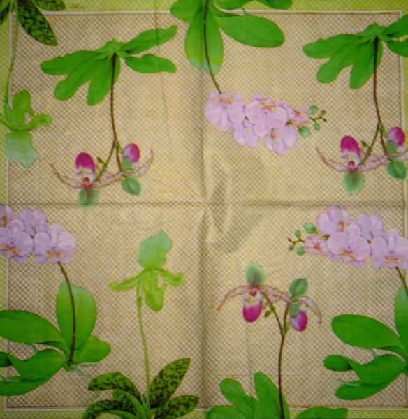 123 Orchids - 3-ply (gold) - Caspari